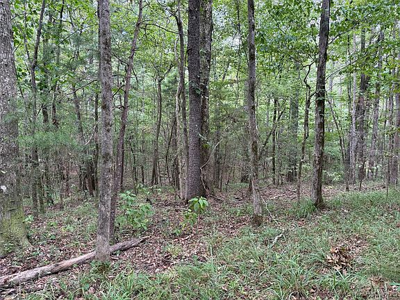 4th image of 0 County Road 199