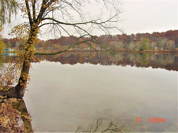 2nd image of 11778 Willow Cove Dr