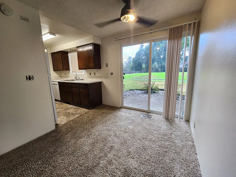 Bailey — Photo 5