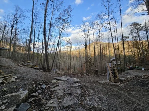 1029 E Obey Ln, Wilder, TN 38589