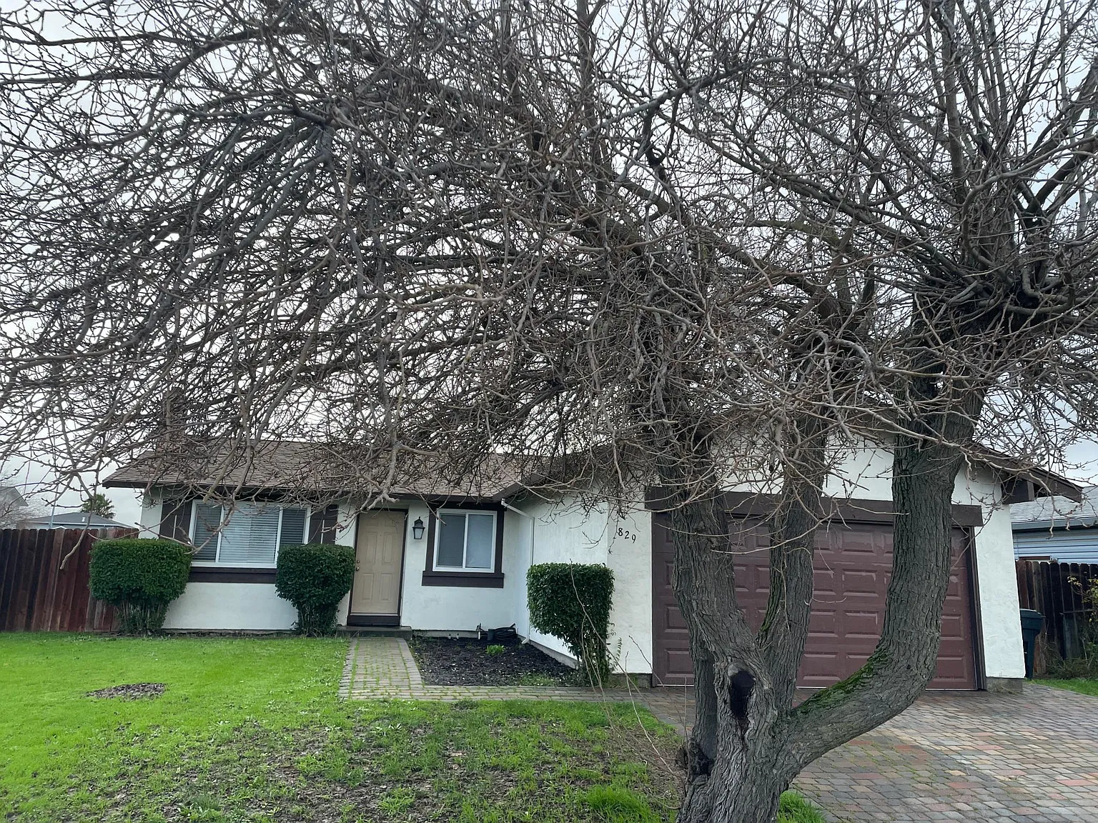 829 Bluebill Way photo 1