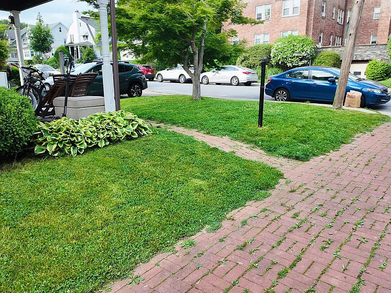 front side yard