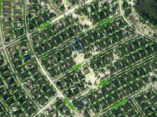 411 ALLEGHENY AVENUE LOT 6, LAKE PLACID, FL 33852