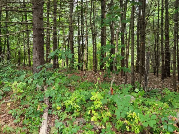 0 King Rd, Charlton, MA 01507