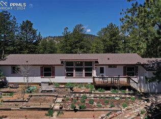 10199 County Road 98, Lake George, CO 80827