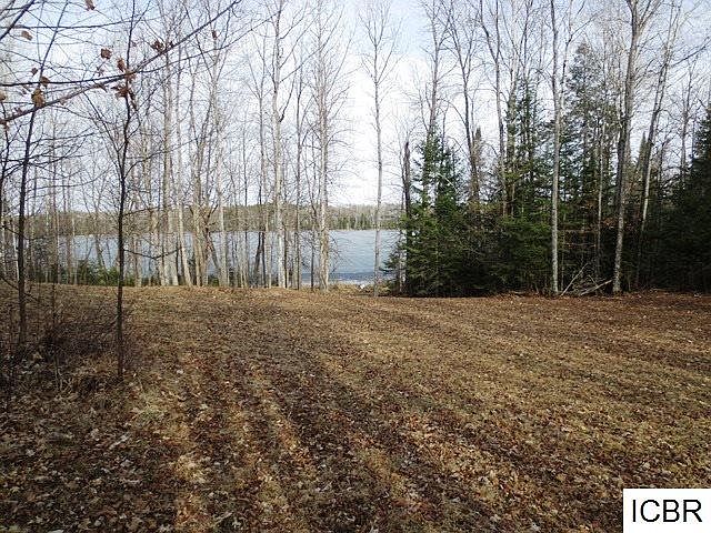 1st image of 43868 County Road 48