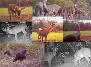 350 Sunset Ln, Center Ridge, AR 72027