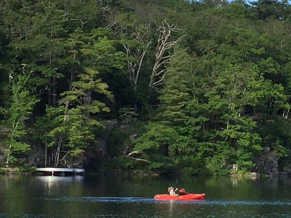 Lily Pond Lake/Pond, kayak available, 700 feet from your door