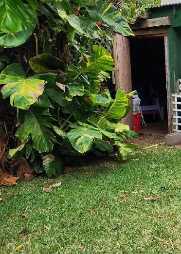 S Kihei Rd, Kihei — Photo 3
