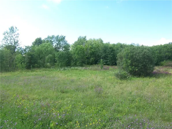 V/l Broadway Rd #12, Darien Center, NY 14040