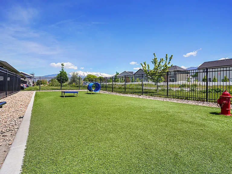 Dog Park