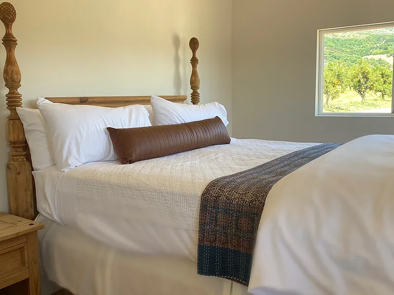17436 N Mesa Dr #3 — Photo 14