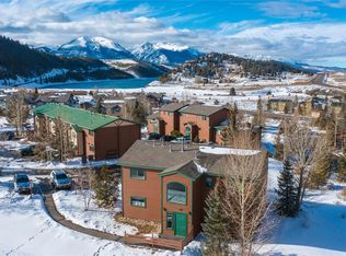 80 Cove Blvd BUILDING 80-102, Dillon, CO 80435