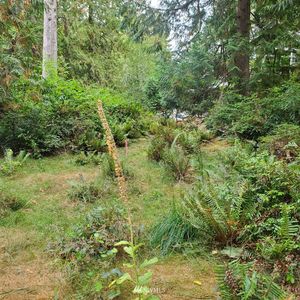 655 E Portage Road, Shelton, WA, 98584