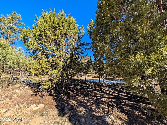 3rd image of 1462 Low Mountain Trl