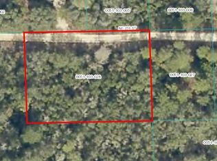 NE 236th St LOT 28, Fort Mc Coy, FL 32134