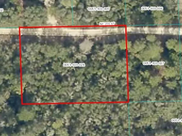 NE 236th St Lot 28, Fort Mc Coy, FL 32134