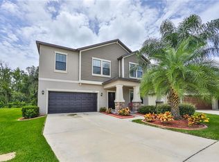 14081 Tropical Kingbird Way, Riverview, FL 33579