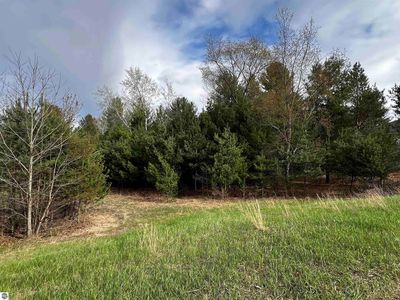 LOT 19 Cushman Ct, Williamsburg, MI, 49690