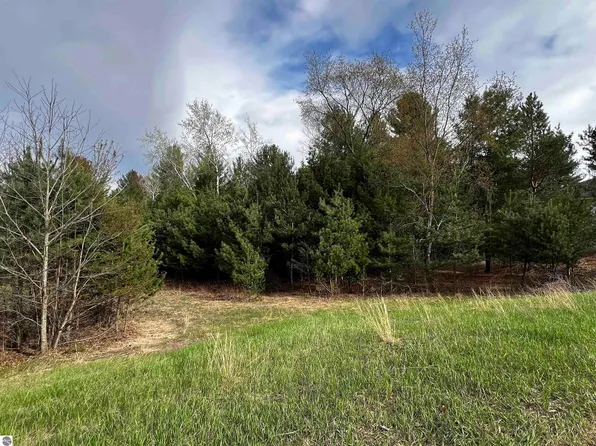 LOT 19 Cushman Ct, Williamsburg, MI 49690