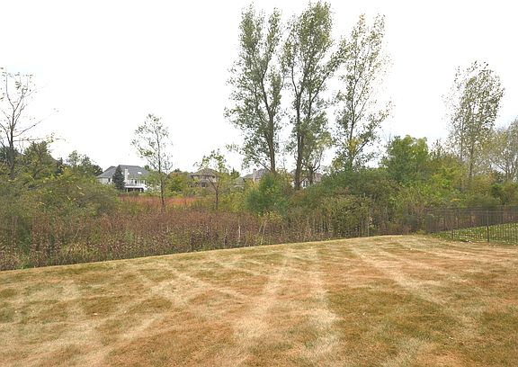 5th image of 10431 Buck Dr