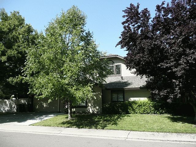 Front View
