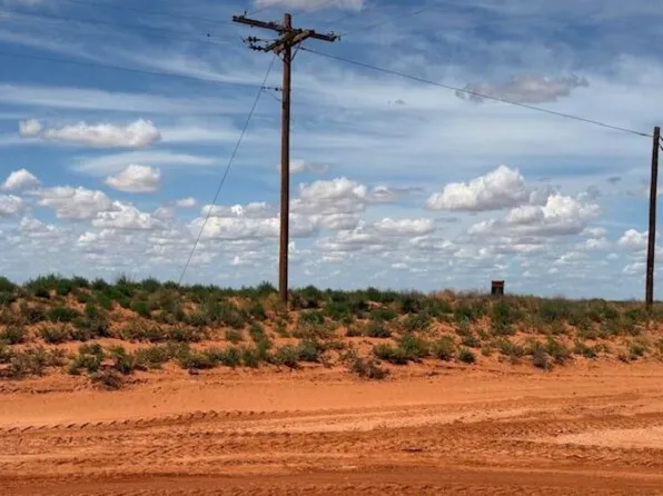 0 County Road 430, Brownfield, TX 79316