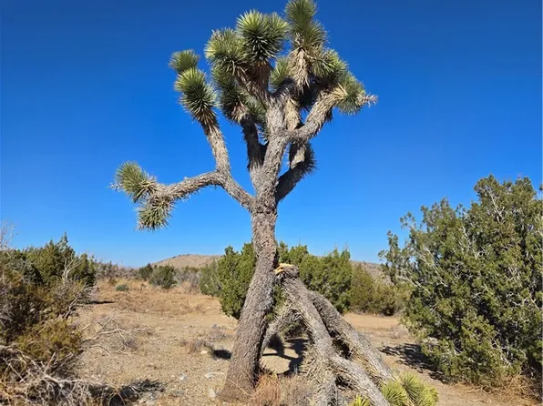 0 Murphys Ln #15, Littlerock, CA 93543