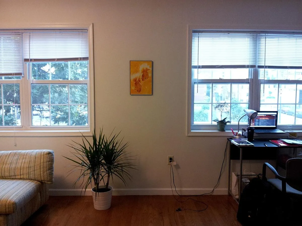 Building Photo - 1137 Spring Garden St #2F