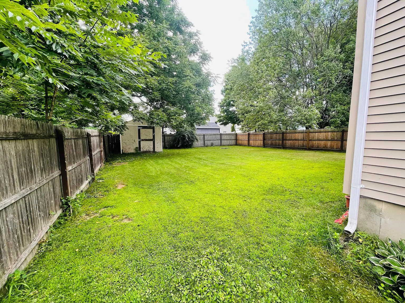 77 Moseley Ave — Photo 2