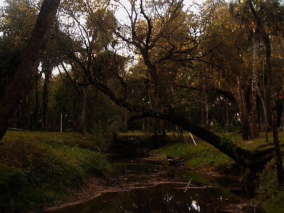 Creek for swimming & irrigation