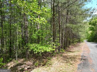 143 Mac Allan Ct, Ellijay, GA 30536