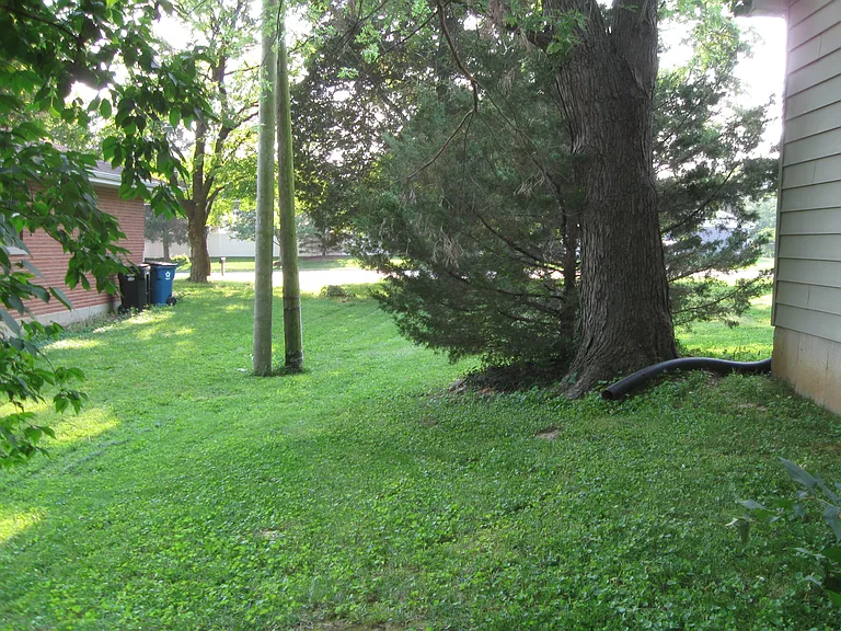 South Side Yard