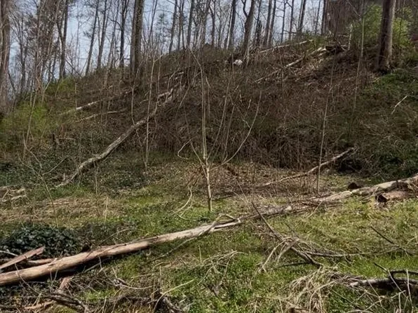 337 Silverbell Ln Lot B, Gatlinburg, TN 37738