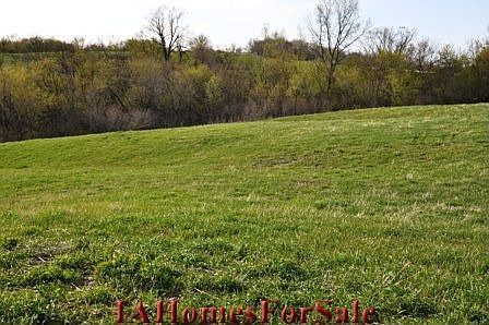 North - looking NW across lot.