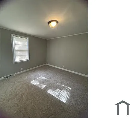 807 Adams Ct — Photo 13