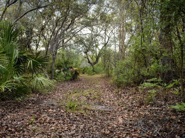 245 NE East Peppermint Trl, Pinetta, FL 32350