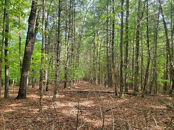 4th image of 44 Sugar Maple Rd