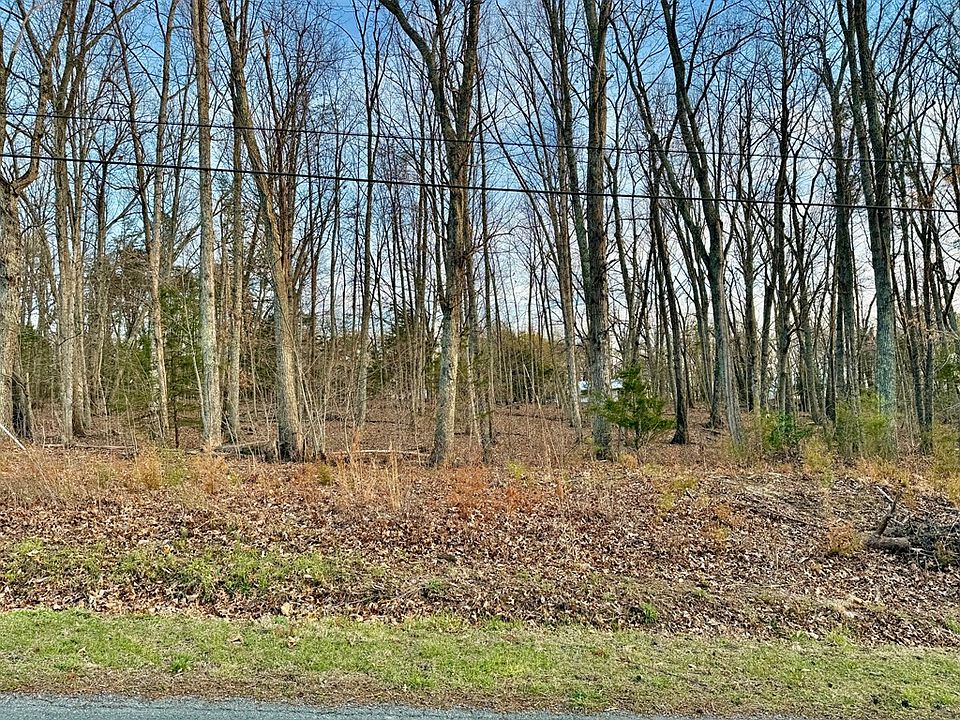 2nd image of 0 Spring St