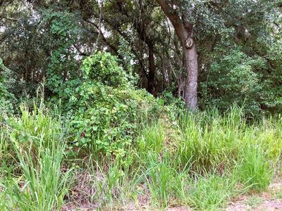 Avalon Rd, Winter Garden, FL, 34787