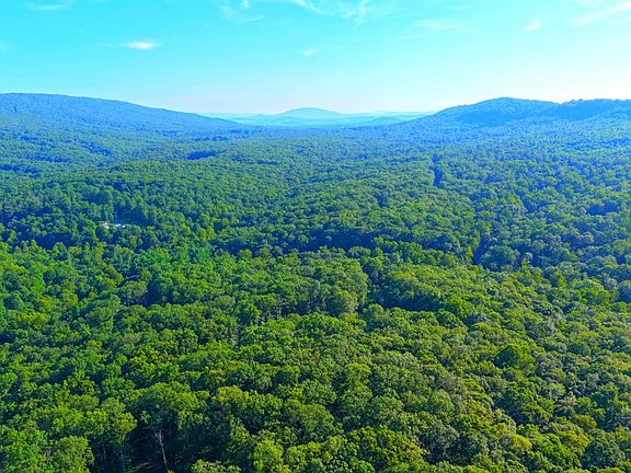 WV Pic 4.JPG