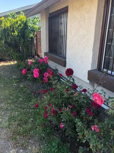 7685 Madrona Ave, Fontana, CA, 92336