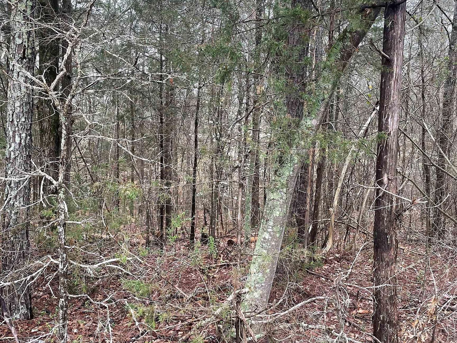 715 Sand Shore Dr LOT 3, Greenwood, SC 29649 | MLS #580450 | Zillow