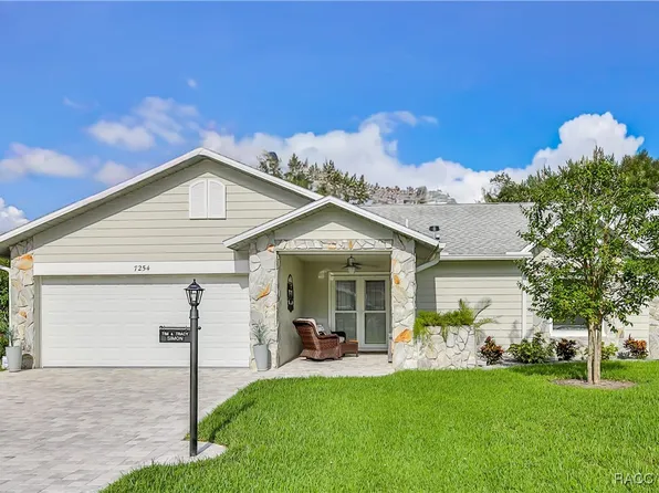 7254 Big Bend Dr, Spring Hill, FL 34606