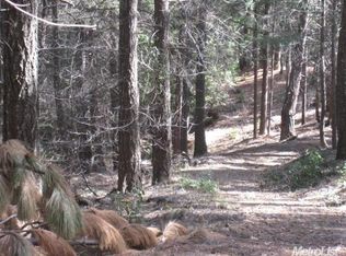 8 Ac Volcanovillle Rd, Georgetown, CA 95634