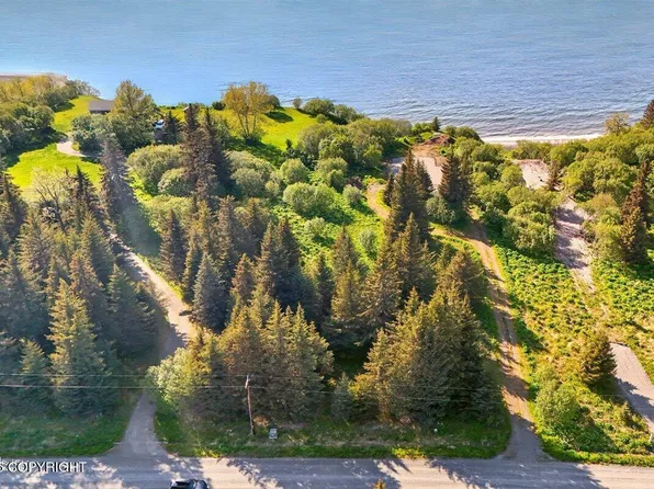 32775 Shorebird Ln, Anchor Pt, AK 99556