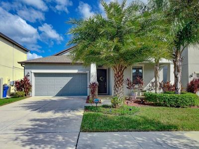 13906 Roseate Tern Ln, Riverview, FL, 33579