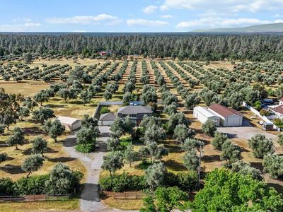 16325 Tacoma Ln, Anderson, CA, 96007