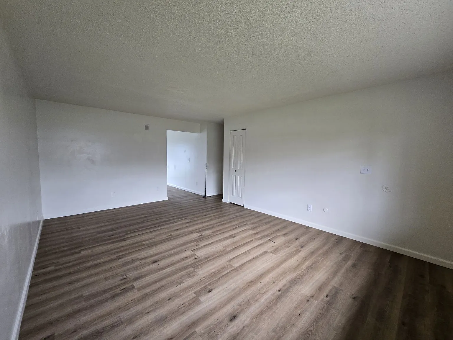 2 bed, 1.0 bath, 900 sqft, $1,250 — Photo 3