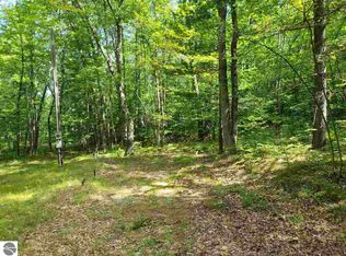 7739 Praha St, Interlochen, MI 49643